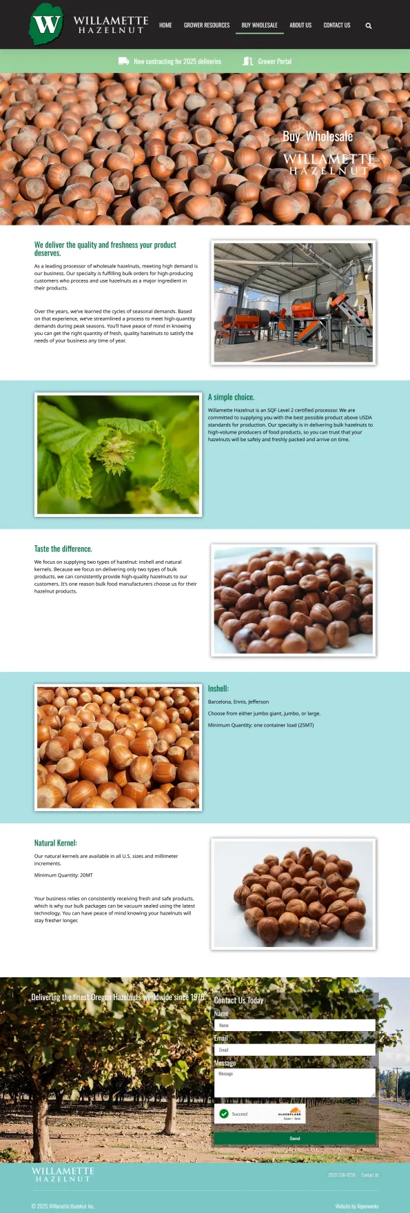 Willamette-Hazelnut-5