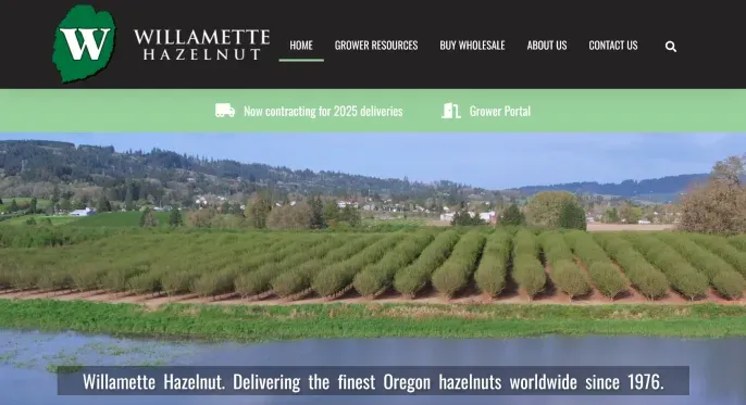 Willamette Hazelnut